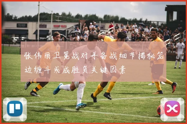 张伟丽卫冕战对手备战细节揭秘笼边缠斗或成胜负关键因素